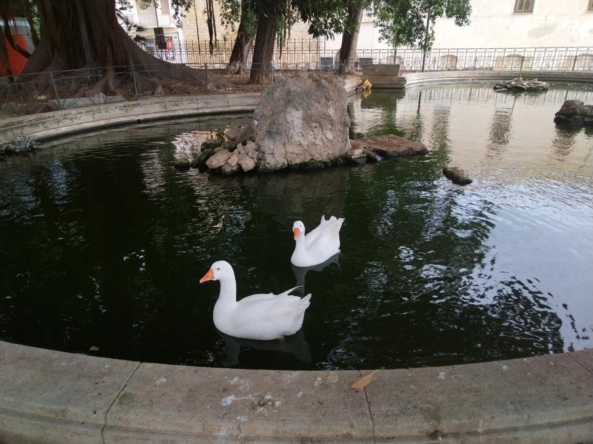 La Casuzza Del Centro Βίλα Sciacca Εξωτερικό φωτογραφία