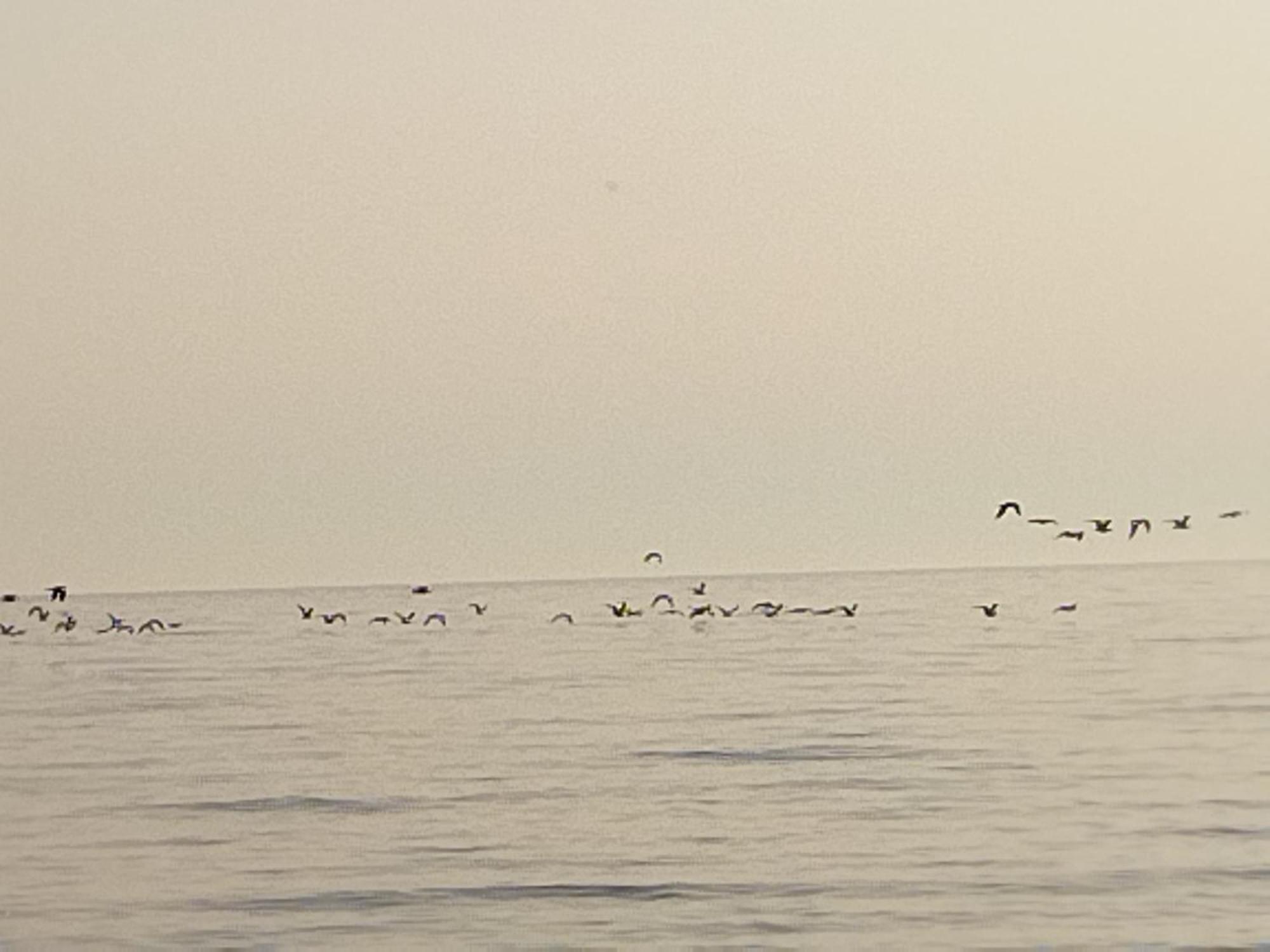 La Casuzza Del Centro Βίλα Sciacca Δωμάτιο φωτογραφία